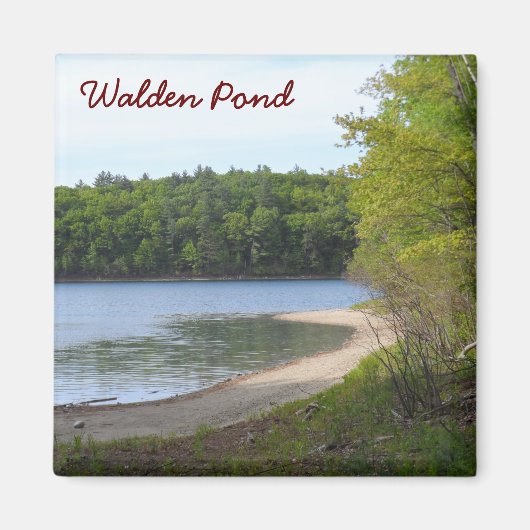 Aimant Walden Pond, Concord, MA (Devant)