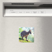 Aimant Wallaby (In Situ (Lave-vaisselle))
