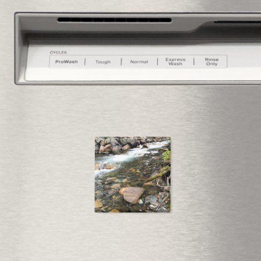 Aimant Wallowa (In Situ (Lave-vaisselle))