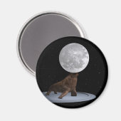 Aimant Walrus Équilibrer La Lune (Recto/Verso)