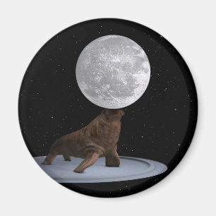 Aimant Walrus Équilibrer La Lune