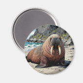 Aimant Walrus on a Sandy Beach  | Cute Animals (Recto/Verso)
