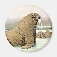 Walrus vintage sur Iceberg en Arctique, Animaux sa