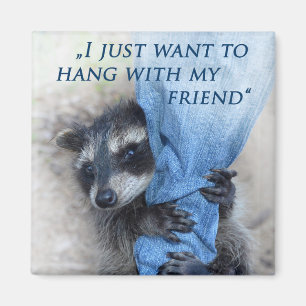 Aimant Waschbär - Abhängen