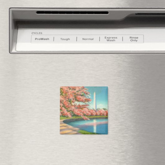 Aimant Washington (In Situ (Lave-vaisselle))