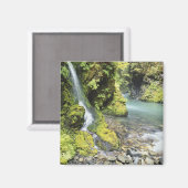 Aimant Washington, Parc National Olympique, Saisonnier (Recto/Verso)