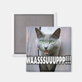 Aimant WASSUP - Mème de chat (Recto/Verso)