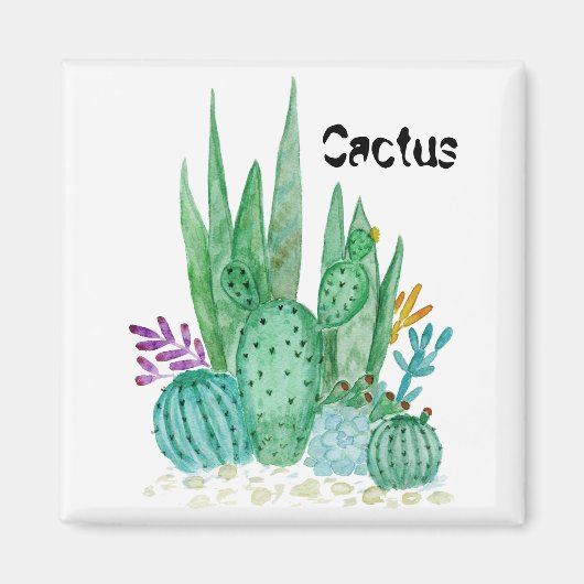 Aimant Watercolor , cactus , succulents (Devant)