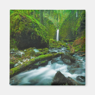 Aimant Waterfalls Grotto Falls, Oregon