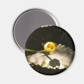 Aimant WaterLilly (Recto/Verso)