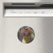 Aimant Weasel à longue queue (In Situ (Lave-vaisselle))