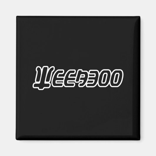 AIMANT WEEBOO (Devant)