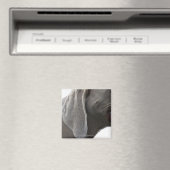 Aimant Weimaraner 3 (In Situ (Lave-vaisselle))