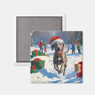 Aimant Weimaraner courant dans la neige avec un chapeau d