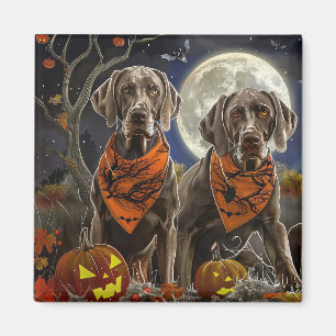 Aimant Weimaraner Halloween Éffrayant