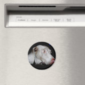 Aimant Weimaraner - Le fantôme gris (In Situ (Lave-vaisselle))