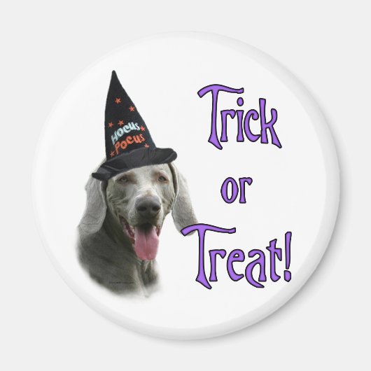 Aimant Weimaraner Trick (Devant)