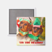 Aimant Weiner Chien Elfe de Noël (Recto/Verso)