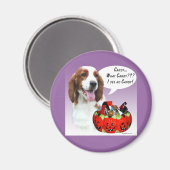 Aimant Welsh Springer Spaniel Halloween Candy (Recto/Verso)