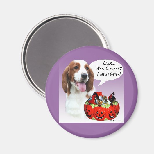 Aimant Welsh Springer Spaniel Halloween Candy (Recto/Verso)