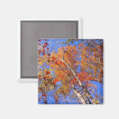 Aimant West Mt. Autumn Hot Springs National Park Cadfts (Recto/Verso)