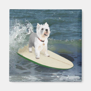 Aimant Westie Surfeur