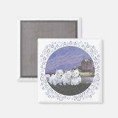 Aimant Westies en Écosse (Recto/Verso)