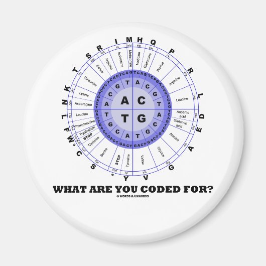 Aimant What Are You Coded For ? (Amino Acid Wheel) (Devant)