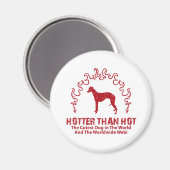 Aimant Whippet (Recto/Verso)