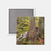Aimant White Branch Falls, Cascades de l'Oregon, Oregon (Recto/Verso)