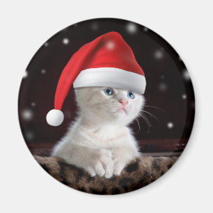 Aimant White Cat à Santa Claus Hat