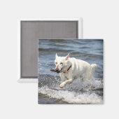 Aimant White German Shepard sur le lac George (Recto/Verso)