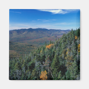 Aimant White Mountain N.F., NH. La vue de près