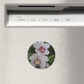 Aimant White Orchids Beautiful Tropical Flowers (In Situ (Lave-vaisselle))