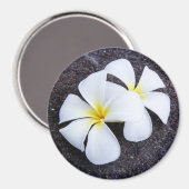 Aimant White Plumeria Flower Frangipani Floral Lava Rock (Recto/Verso)