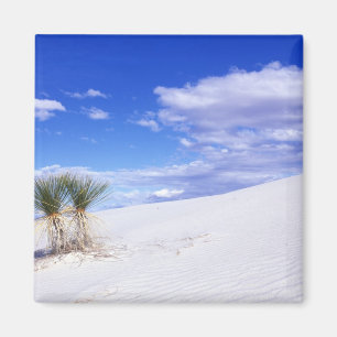 Aimant White Sands NM, Nouveau-Mexique, États-Unis