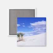 Aimant White Sands NM, Nouveau-Mexique, USA (Recto/Verso)