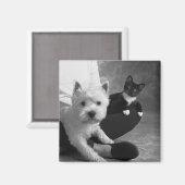 Aimant White Terrier et Chat Partagez l'amour (Recto/Verso)