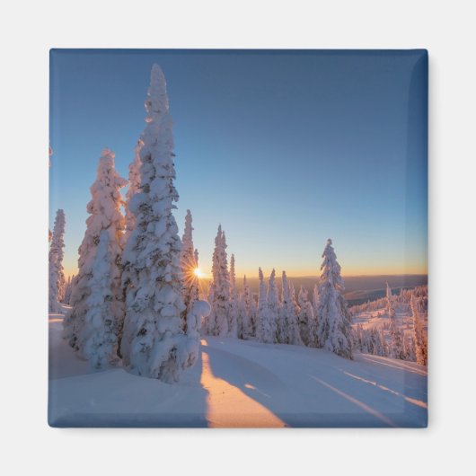 Aimant Whitefish, Montana (Devant)