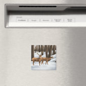 Aimant Whitetail Deer (In Situ (Lave-vaisselle))
