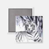 Aimant WhiteTiger (Recto/Verso)
