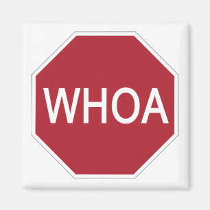 Aimant Whoa