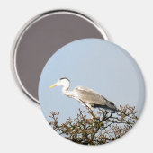 AIMANT WILD BIRD HERON (Recto/Verso)