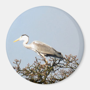 AIMANT WILD BIRD HERON