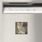 Aimant Wild Thing Bobcat (In Situ (Lave-vaisselle))