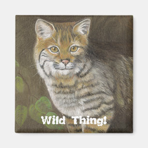 Aimant Wild Thing Bobcat