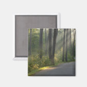 Aimant Wilderness Drive, Parc d'État d'Itasca, (Recto/Verso)
