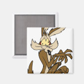 Aimant Wile E. Coyote (Recto/Verso)