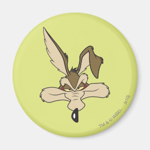 Aimant Wile E. Coyote Tête Contente Coup