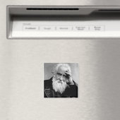 Aimant William Huggins, 1910 (In Situ (Lave-vaisselle))